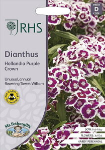yqzMr.Fothergill's Seeds Royal Horticultural Society Dianthus Hollandia purple crown _CATX zfBA p[v NE ~X^[EtHU[MYV[h