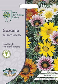 【種子】Mr.Fothergill's Seeds Royal Horticultural Society Gazania TALENT MIXED RHS ガザニア タレント・ミックス ミスター・フォザーギルズシード