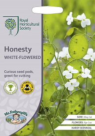 【種子】Mr.Fothergill's Seeds Royal Horticultural Society Honesty WHITE-FLOWERED RHS オネスティ（ルナリア） ホワイト・フラワード ミスター・フォザーギルズシード