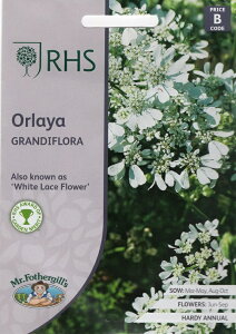 【種子】Mr.Fothergill's Seeds Royal Horticultural SocietyOrlaya Grandiflora RHS オルラヤ グランディフローラ ミスター・フォザーギルズシード