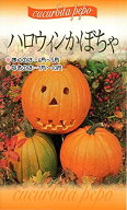 花種子 ハロウィンかぼちゃ 福花園種苗のタネ