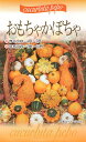 【種子】おもちゃかぼちゃ 福花園種苗のタネ