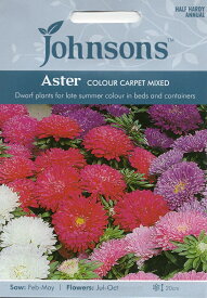 【種子】Johnsons Seeds Aster Colour Carpet Mixed アスター カラーカーペットミックス ジョンソンズシード