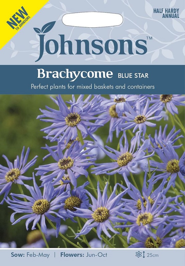 輸入種子 Johnsons Seeds Brachycome BLUE ジョンソンズシード ブルースター STAR 好評 ブラキカム スーパーセール