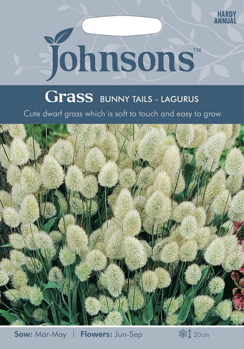 楽天市場 輸入種子 Johnsons Seeds Grass Bunny Tails Lagurus バニー テイルズ ラグラス ジョンソンズシード Ivy