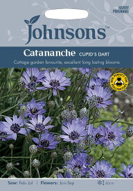【種子】Johnsons Seeds Catananche caerulea Cupid's Dart カタナンケ・カエルーレラ キューピッド・ダート ジョンソンズシード