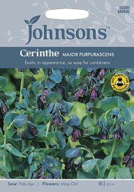 【種子】Johnsons Seeds Cerinthe major purpurascens セリンセ・メジャー・プルプラセンス ジョンソンズシード