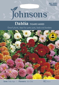 【種子】Johnsons Seeds Dahlia Figaro Mixed ダリア・フィガロ・ミックス ジョンソンズシード