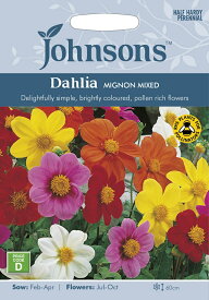 【種子】Johnsons Seeds Dahlia Mignon Mixed ダリア・ミニヨン・ミックス ジョンソンズシード