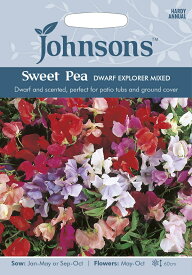 【種子】Johnsons Seeds Sweet Pea DWARF EXPLORER MIXED スイートピー ドワーフ・エクスプローラー・ミックス ジョンソンズシード