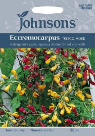 【種子】Johnsons Seeds Eccremocarpus Tresco Mixed エクレモカーパス・トレスコ・ミックス ジョンソンズシード