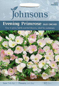 【種子】Johnsons Seeds Evening Primrose (Oenothera) Silky Orchid イブニング・プリムローズ（エノセラ） シルキー・オーキッド ジョンソンズシード