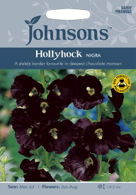 【種子】Johnsons Seeds Hollyhock NIGRA ホリホック（タチアオイ）・ニゲラ ジョンソンズシード
