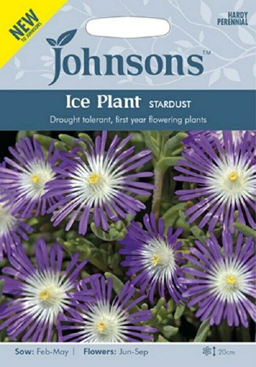 楽天市場 輸入種子 Johnsons Seeds Ice Plant Stardust アイスプラント スターダスト ジョンソンズシード Ivy