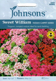 楽天市場 育てやすい花 多年草の通販