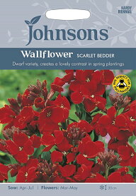 【種子】Johnsons Seeds Wallflower SCARLET BEDDER ウォールフラワー スカーレット・ベッダー ジョンソンズシード
