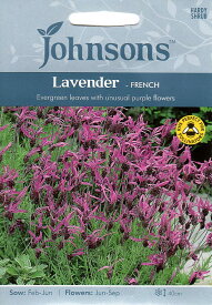 【種子】Johnsons Seeds Lavender FRENCH ラベンダー フレンチ ジョンソンズシード