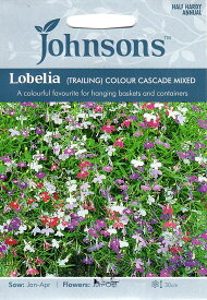 【種子】Johnsons Seeds Lobelia COLOUR CASCADE MIXED ロベリア（トレイリング） カラー・カスケイド・ミックス ジョンソンズシード