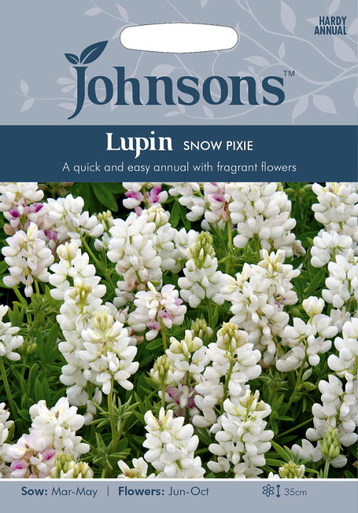 楽天市場 輸入種子 Johnsons Seeds Lupin Snow Pixie ルーピン ルピナス スノー ピクシー ジョンソンズシード Ivy