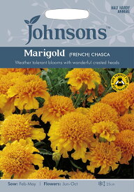 【種子】Johnsons Seeds Marigold (FRENCH) CHASCA マリーゴールド（フレンチ） チャスカ ジョンソンズシード