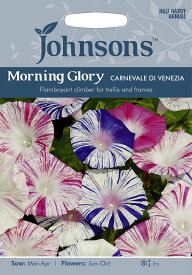 【種子】Johnsons Seeds Morning Glory Carnevale di Venezia モーニング・グローリー（西洋朝顔) カーニバル・デ・ヴェネツィア ジョンソンズシード