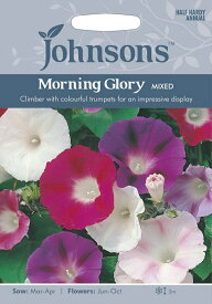 【種子】Johnsons Seeds Morning Glory MIXED モーニング・グローリー ミックス ジョンソンズシード