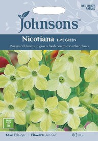 【種子】Johnsons Seeds Nicotiana Lime Green ニコチアナ（ハナタバコ） ライム・グリーン ジョンソンズシード