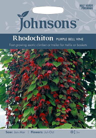 【種子】Johnsons Seeds Rhodochiton Purple Bell Vine ロドキトン・パープル・ベル・ヴェイン ジョンソンズシード