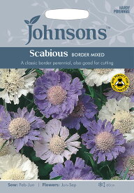 【種子】Johnsons Seeds Scabious Border Mixed スカビオサ ボーダー・ミックス ジョンソンズシード