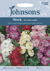 yqzJohnsons Seeds Stock TEN WEEK MIXED XgbN eEEB[NE~bNX W\YV[h