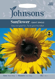 【種子】Johnsons Seeds Sunflower GIANT SINGLE サンフラワー（ひまわり）ジャイアント シングル ジョンソンズシード