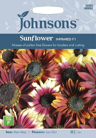 【種子】Johnsons Seeds Sunflower INFRARED F1 サンフラワー インフラレッド F1 ジョンソンズシード
