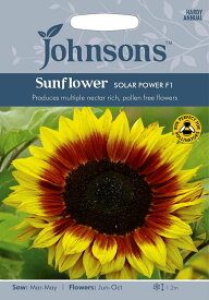 【種子】Johnsons Seeds Sunflower Solar Power F1 サンフラワー ソーラー・パワー・F1 ジョンソンズシード