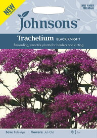 【種子】Johnsons Seeds Trachelium BLACK KNIGHT トラケリウム ブラック・ナイト ジョンソンズシード