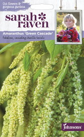 【種子】Johnsons Seeds Sarah Raven Cut flowers & gorgeous gardens Amaranthus Green Cascade サラ・レイブン・カットフラワーズ アマランサス グリーン・キャスケード ジョンソンズシード