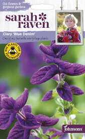 【種子】Johnsons Seeds Sarah Raven Cut flowers & gorgeous gardens Clary Blue Denim サラ・レイブン・カットフラワーズ クラリー・ブルー・デニム ジョンソンズシード