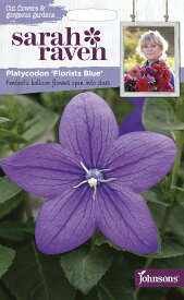 【種子】Johnsons Seeds Sarah Raven Cut flowers & gorgeous gardens Platycodon Florists Blue サラ・レイブン・カットフラワーズ プラティコドン（桔梗） フローリスツ・ブルー ジョンソンズシード
