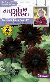 【種子】Johnsons Seeds Sarah Raven Cut flowers & gorgeous gardens Sunflower Black Magic F1 サラ・レイブン カットフラワーズ サンフラワー（ひまわり） ブラック・マジック・F1 ジョンソンズシード