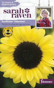 yqzJohnsons Seeds Sarah Raven Cut flowers & gorgeous gardens Sunflower Valentine TECu Jbgt[Y Tt[ @^C W\YV[h