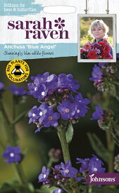 【種子】Johnsons Seeds Sarah Raven Brilliant for Bees & Butterflies Anchusa Blue Angel サラ・レイブン ビー＆バタフライ アンチューサ・ブルー・エンジェル ジョンソンズシード