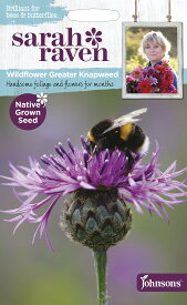 【種子】Johnsons Seeds Sarah Raven Brilliant for Bees & Butterflies Greater Knapweed サラ・レイブン ビー＆バタフライ グレーター・ナップウィード ジョンソンズシード