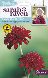 【種子】Johnsons Seeds Sarah Raven Brilliant for Bees & Butterflies Knautia 'Red Cherries' サラ・レイブン ビー＆バタフライ クナウティア・レッド・チェリー ジョンソンズシード