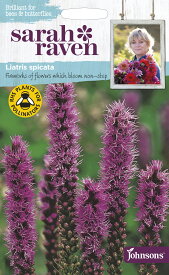 【種子】Johnsons Seeds Sarah Raven Brilliant for Bees & Butterflies Liatris spicata (Blazing Star)サラ・レイブン・ビー＆バタフライ リアトリス・スピカータ ジョンソンズシード