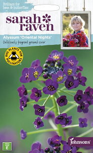 yqzJohnsons Seeds Sarah Raven Brilliant for Bees & Butterflies Alyssum Oriental Nights TECu r[o^tC AbT IG^EiCg W\YV[h