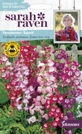 【種子】Johnsons Seeds Sarah Raven Brilliant for Bees & Butterflies Penstemon Esprit サラ・レイブン・ビー＆バタフライ ペンステモン エスプリ ジョンソンズシード