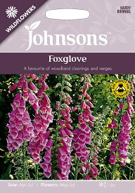 【種子】Johnsons Seeds WILDFLOWERS Foxglove ワイルドフラワーズ フォックスグローブ ジョンソンズシード