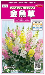 yqziA`qijt@t@ ~bNX TJ^̃^l