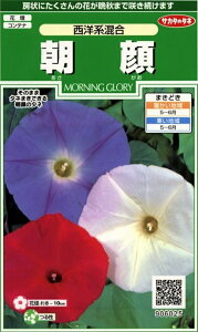 �Ԏ�q ���� ���m�n���� �T�J�^�̃^�l