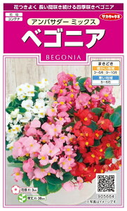 yqzxSjA AoT_[~bNX TJ^̃^l