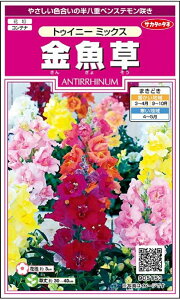 【種子】金魚草(アンチヒナム)トゥイニー ミックス サカタのタネ